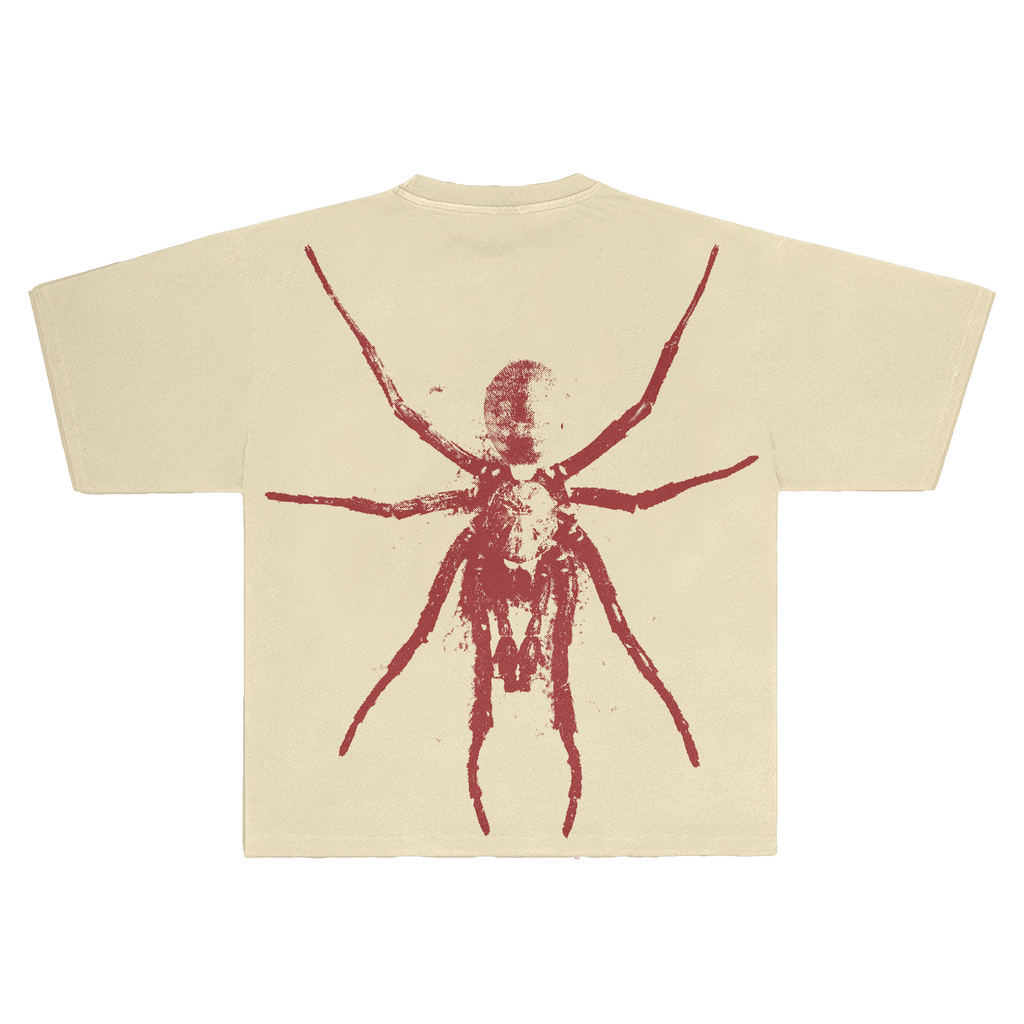 Spider